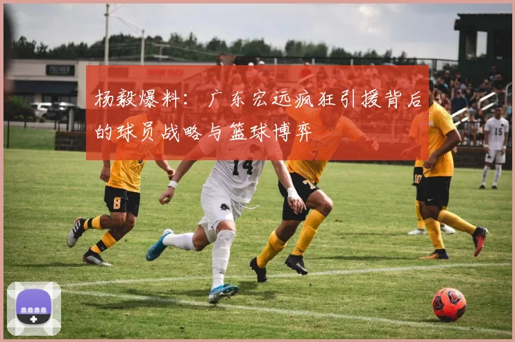 杨毅爆料：广东宏远疯狂引援背后的球员战略与篮球博弈